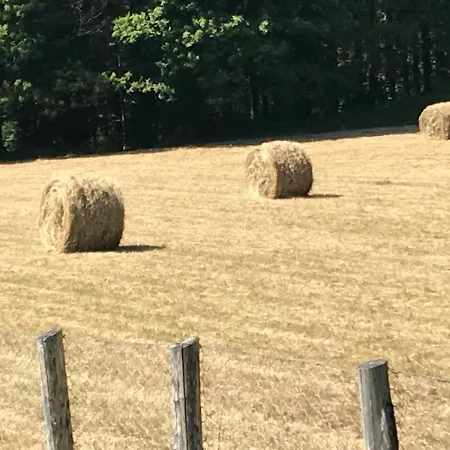 Il Pianetto Alloggio per agriturismo