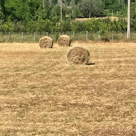 Il Pianetto 피에베포시아나