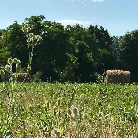 Il Pianetto Farm stay Pieve Fosciana