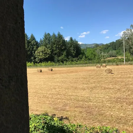 팜스테이 Il Pianetto