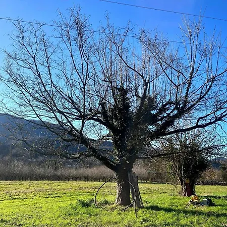 Il Pianetto