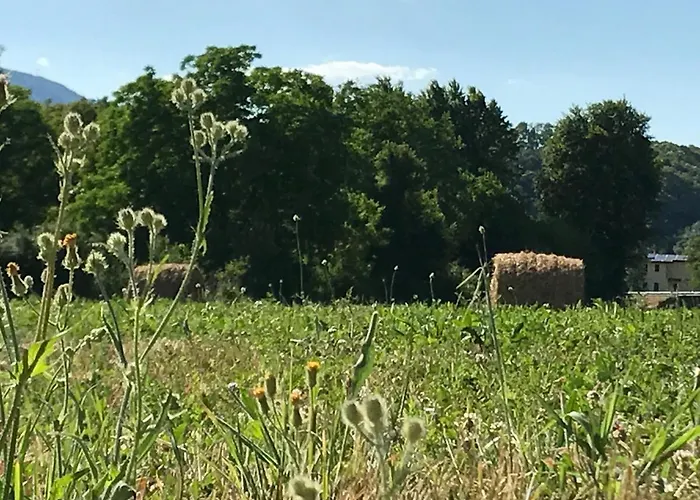 Il Pianetto Farma Pieve Fosciana