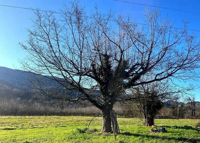Il Pianetto